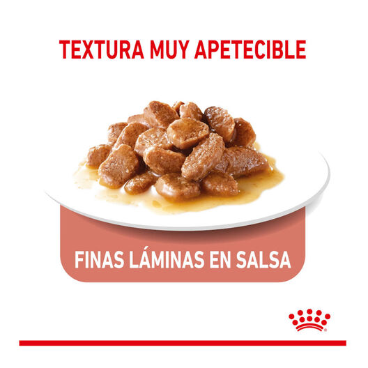 Royal Canin Appetite Control Care molho saqueta para gatos, , large image number null