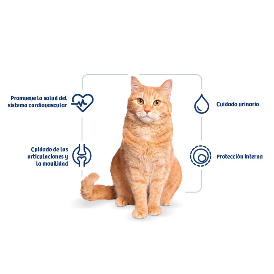 2 kg Nath Adult Frango e Arroz ra&ccedil;&atilde;o para gatos , , large Imagem n&uacute;mero 2