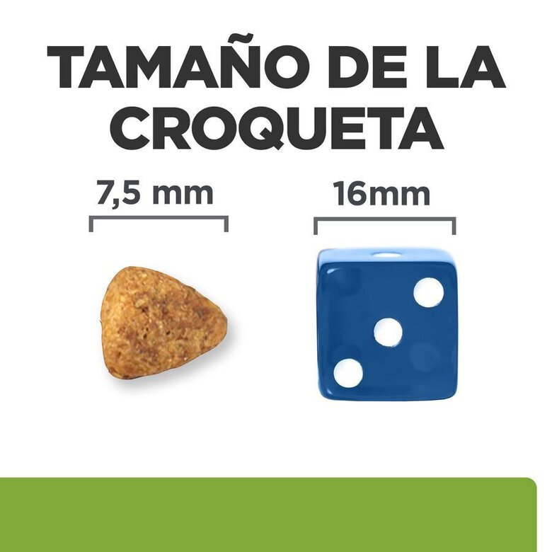 6 kg Hill's Prescription Diet j/d Metabolic + Mobility mini Adult ração para cães,  Imagem número 7 6 kg Hill's Prescription Diet j/d Metabolic + Mobility mini Adult ração para cães, , large Imagem número 7