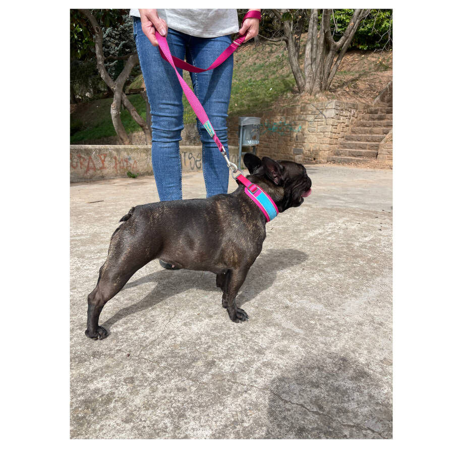 Freedog Cool Pro Tech Trela Desportiva F&uacute;scia para c&atilde;es, , large Imagem n&uacute;mero 4