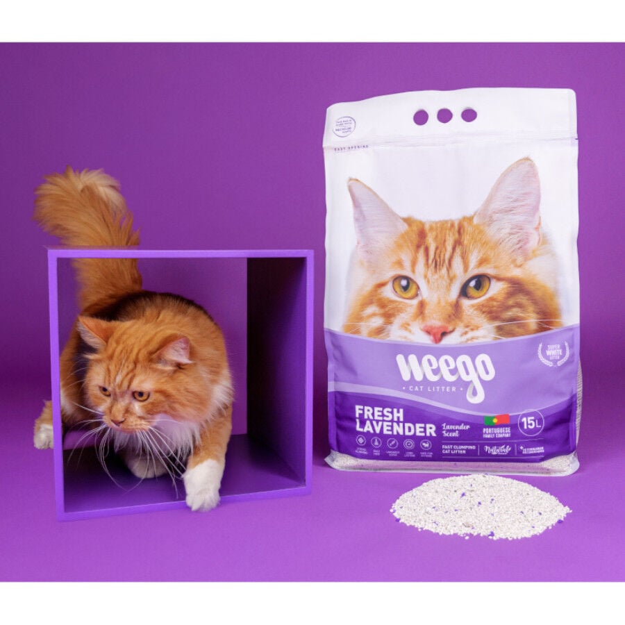 Weego Fresh Lavender Areia Aglomerante para gatos, , large Imagem n&uacute;mero 5