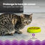 Outward Hound Catstages Cat Fun Comedouro Anti-Voracidade Verde para gatos, , large Indicador imagem número 5