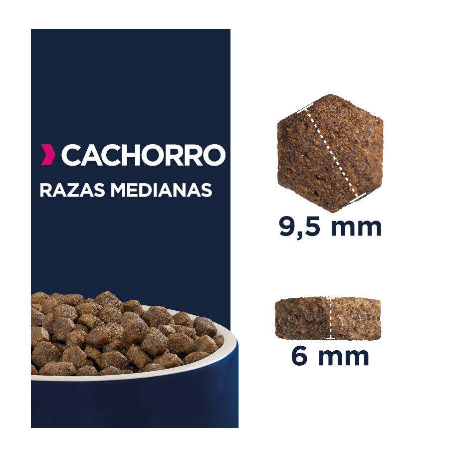 15 kg Eukanuba Puppy Medium Ra&ccedil;&atilde;o de frango para c&atilde;es, , large Imagem n&uacute;mero 4