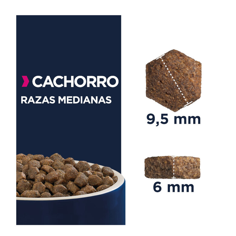 15 kg Eukanuba Puppy Medium Ração de frango para cães,  Imagem número 4 15 kg Eukanuba Puppy Medium Ração de frango para cães, , large Imagem número 4