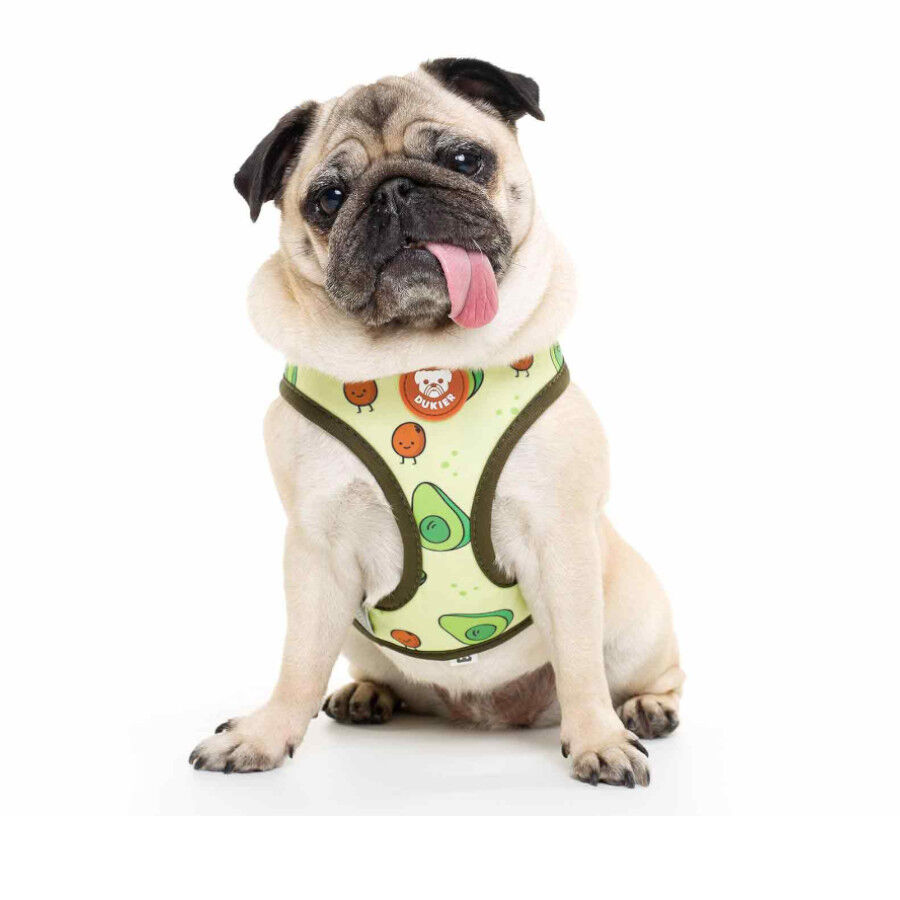 Dukier Avocado Peitoral revers&iacute;vel com estampado de abacate para c&atilde;es, , large Imagem n&uacute;mero 2
