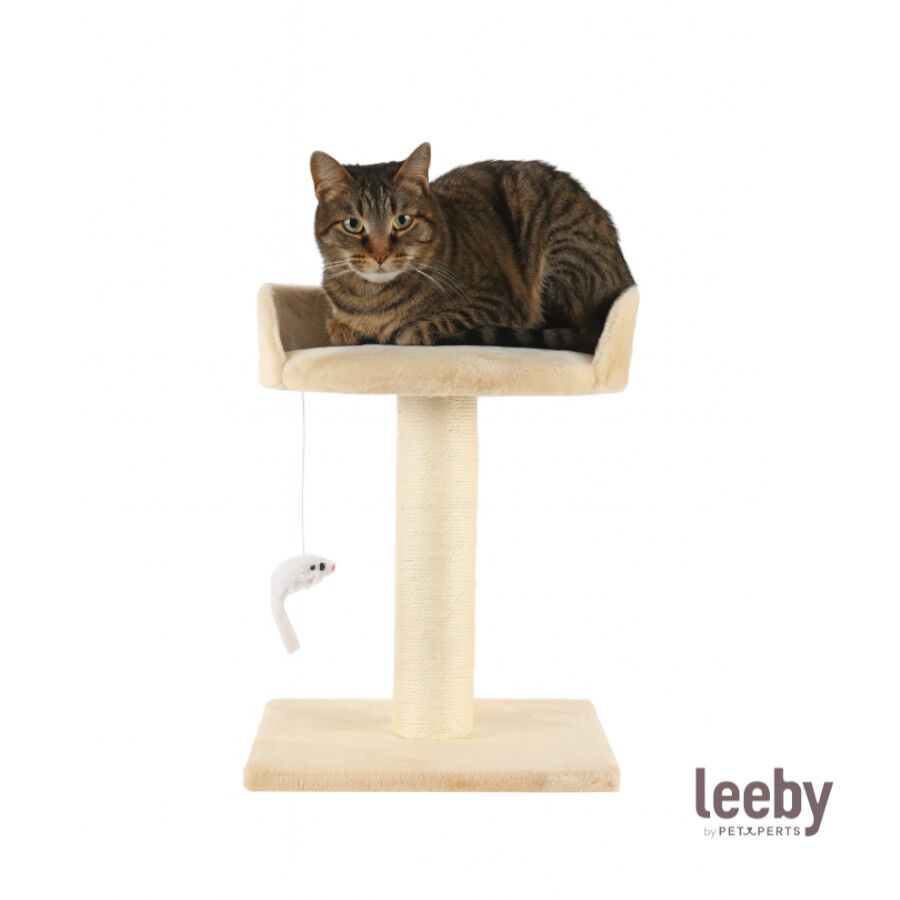 Leeby Tigrou arranhador com cama e brinquedo bege para gatos, , large Imagem n&uacute;mero 2
