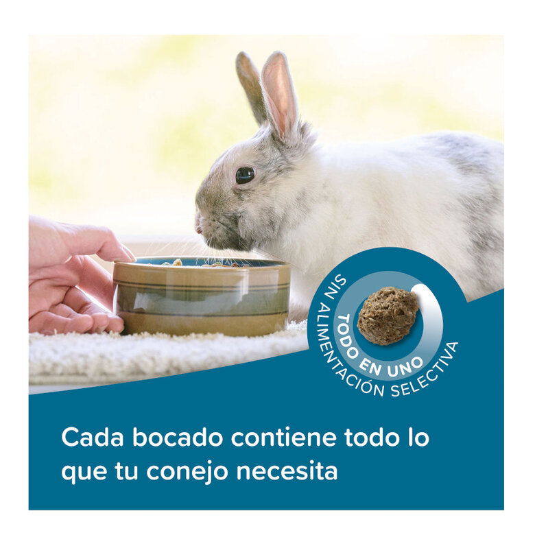 Beaphar Care+ ração para coelhos seniors,  Imagem número 4 Beaphar Care+ ração para coelhos seniors, , large Imagem número 4