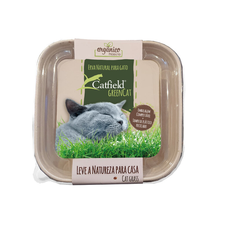 Catfield GreenCat Erva Natural para gatos, , large image number null