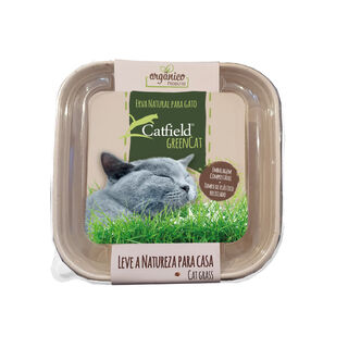 Catfield GreenCat Erva Natural para gatos