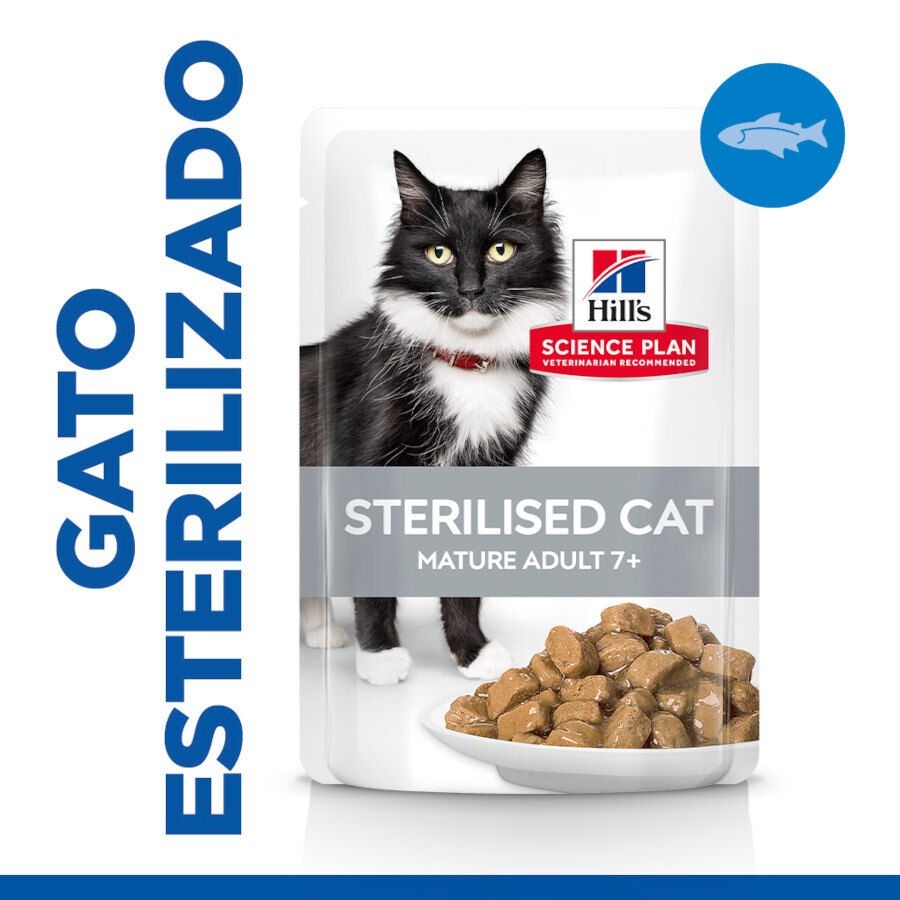 48 saquetas x 85 g Hill's Science Plan Sterilised Mature Peixe Oce&aacute;nico saqueta de molho para gatos Pack poupan&ccedil;a!, , large Imagem n&uacute;mero 1