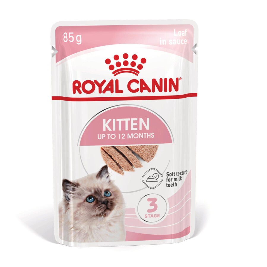 85 g Royal Canin Kitten pat&ecirc; em saquetas para gatos, , large Imagem n&uacute;mero 2