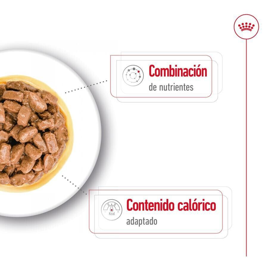 85 g Royal Canin Mini 12+ Ageing saquetas em molho para c&atilde;es, , large Imagem n&uacute;mero 4