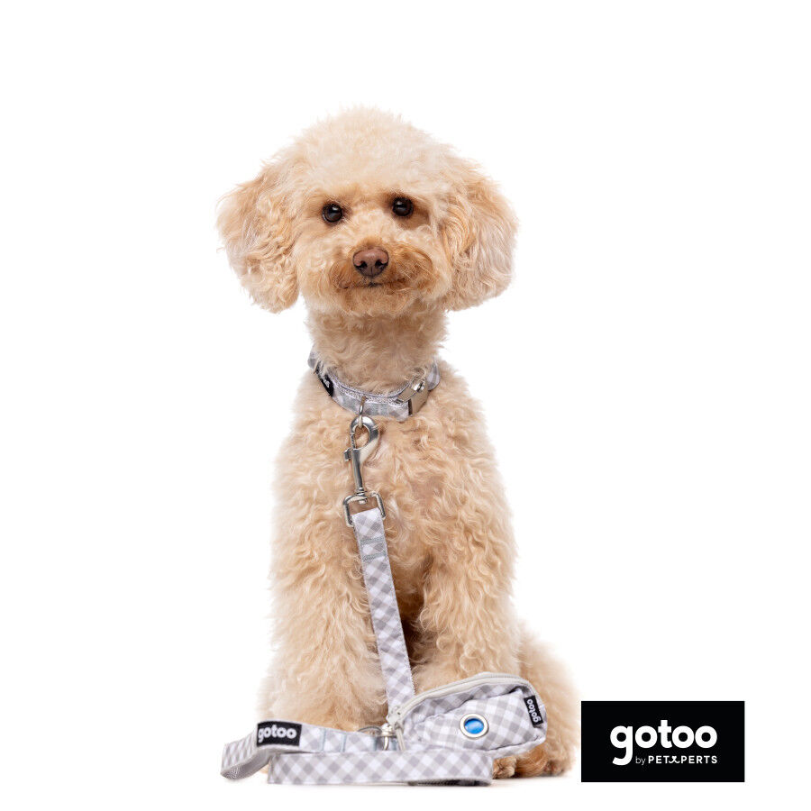 Gotoo Trela estampada em xadrez vichy cinza para c&atilde;es, , large Imagem n&uacute;mero 3