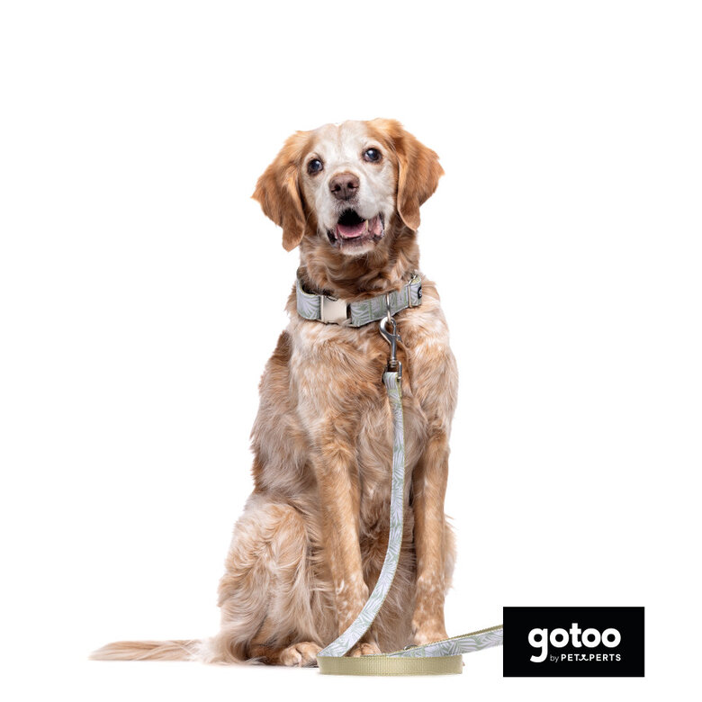 Trela estampada folhas para cães,  Imagem número 3 Trela estampada folhas para cães, , large Imagem número 3