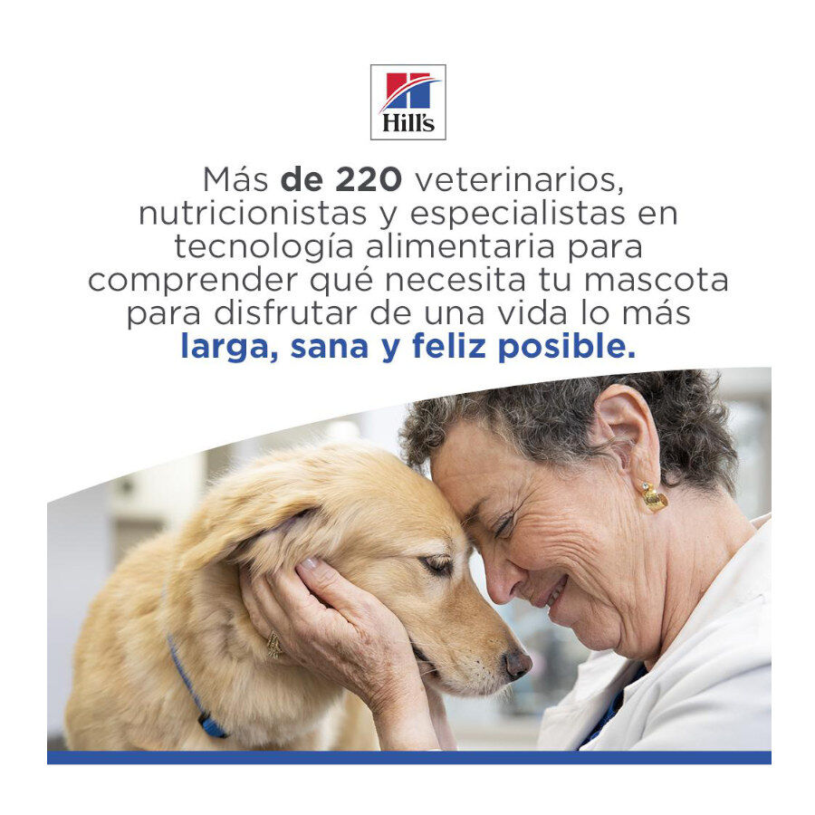 14 kg Hill's Science Plan Hipoalerg&eacute;nico Large Salm&atilde;o ra&ccedil;&atilde;o para c&atilde;es, , large Imagem n&uacute;mero 8