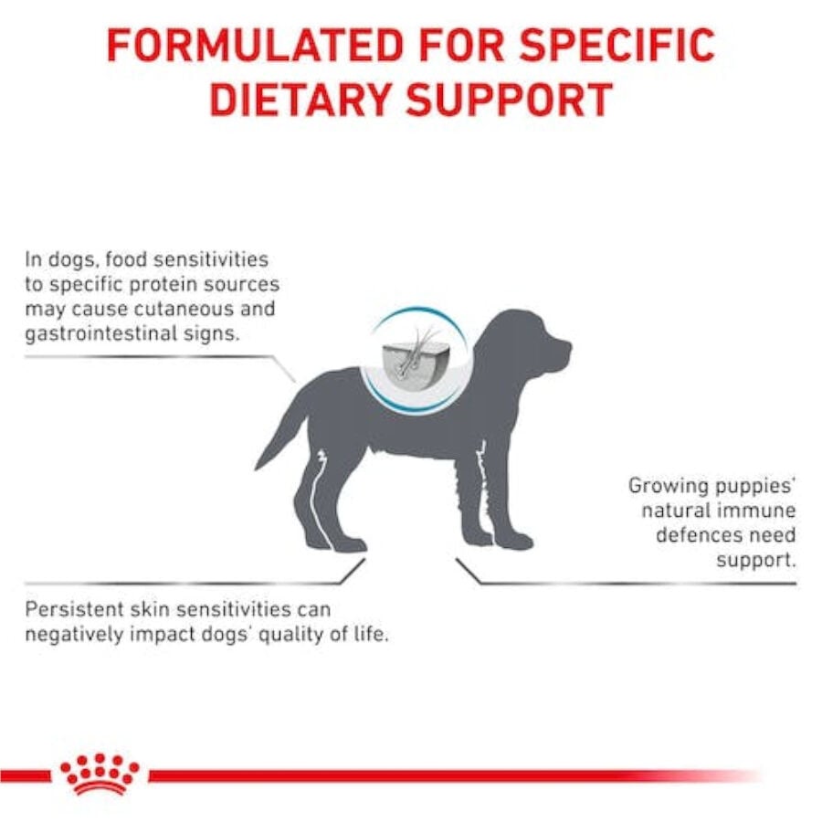 Royal Canin Veterinary Hypoallergenic ra&ccedil;&atilde;o para cachorros, , large Imagem n&uacute;mero 4