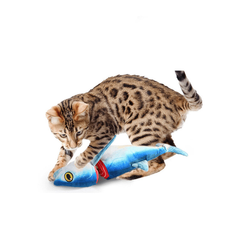 All For Paws Natural Instinct Brinquedo Atum Interativo para gatos,  Imagem número 2 All For Paws Natural Instinct Brinquedo Atum Interativo para gatos, , large Imagem número 2