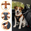 Outech X-perience Arn&ecirc;s de Carro para c&atilde;es, , large Indicador imagem n&uacute;mero 3
