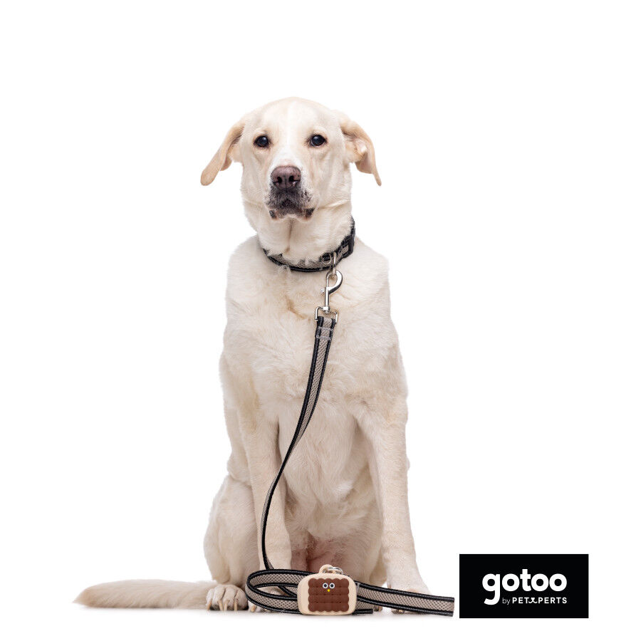 Gotoo Trela mesh cinza refletora para c&atilde;es, , large Imagem n&uacute;mero 5