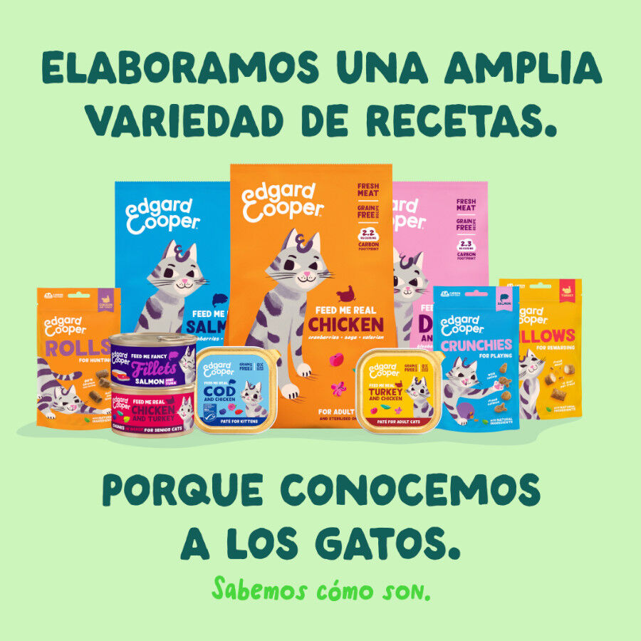 70 g Edgard & Cooper Filetes de Salm&oacute;n y Ceballa Lata para gatos, , large Imagem n&uacute;mero 8