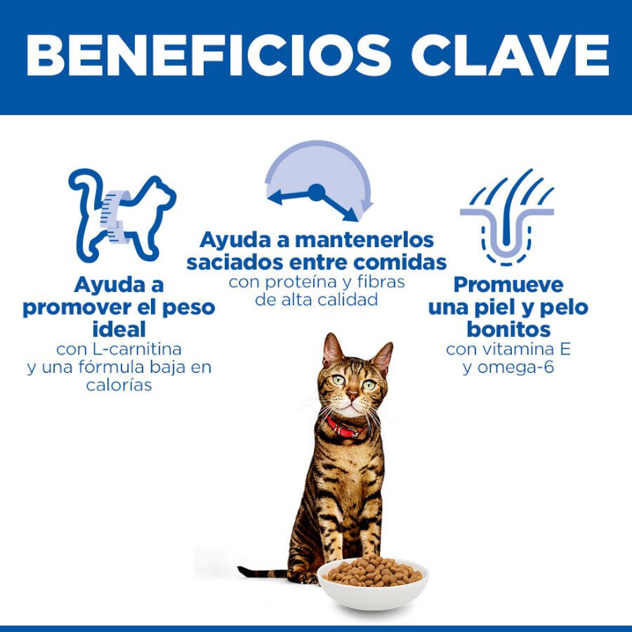 7 kg Hill's Adult Science Plan Frango ra&ccedil;&atilde;o para gatos, , large Imagem n&uacute;mero 5