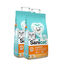2 x 8 L Sanicat Areia Aglomerante Baunilha e Tangerina para gatos Pack poupança!, , large Indicador imagem número 1
