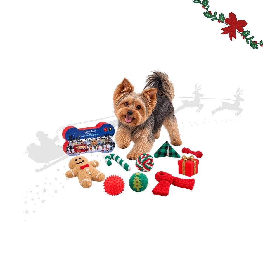 Wonder Christmas Calend&aacute;rio do Advento para c&atilde;es, , large Imagem n&uacute;mero 1