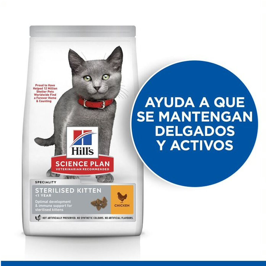 7 kg &nbsp; Hill's Kitten Science Plan Sterilized Frango ra&ccedil;&atilde;o, , large Imagem n&uacute;mero 5