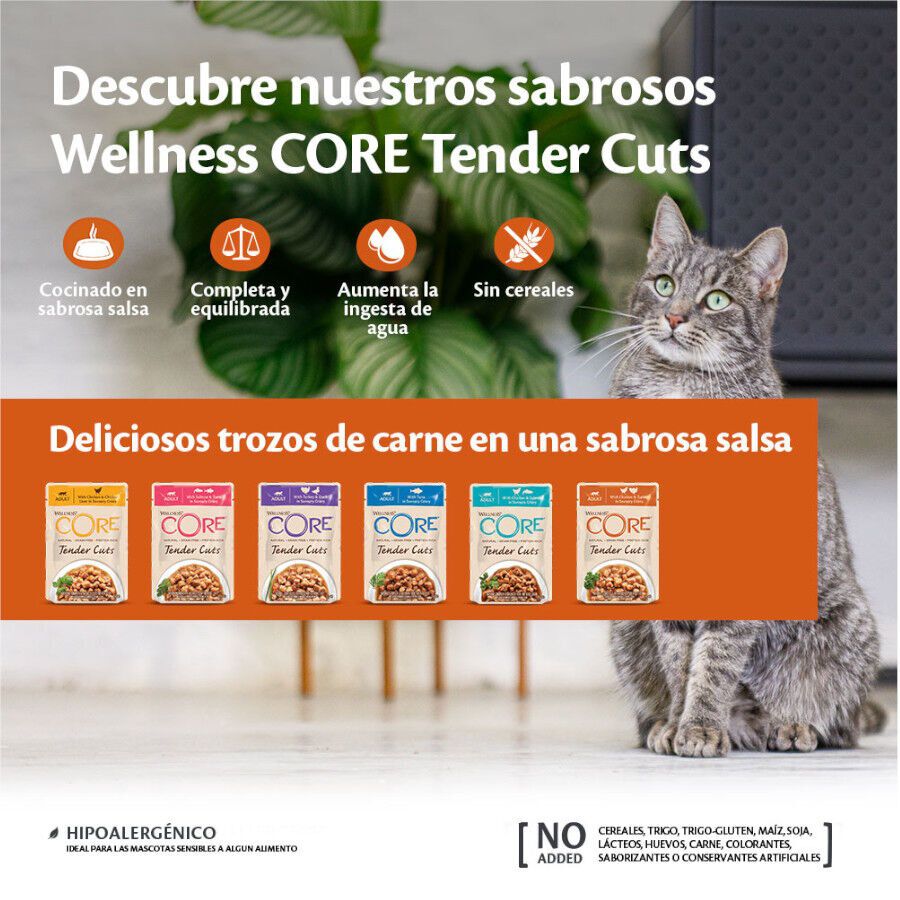 48 saquetas x 85 g  Wellness Core Tender Cuts frango e peru em molho saquetas para gatos Pack poupan&ccedil;a!, , large Imagem n&uacute;mero 3