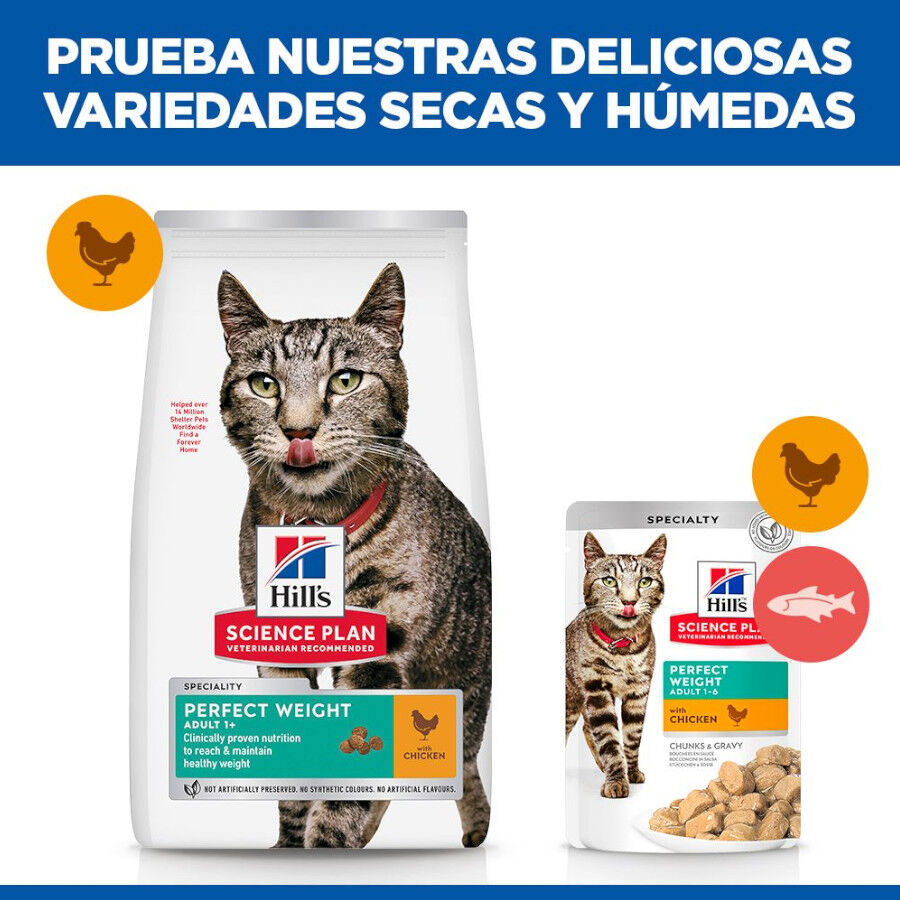7 kg Hill's Science Plan Perfect Weight Adult frango ra&ccedil;&atilde;o para gatos, , large Imagem n&uacute;mero 7