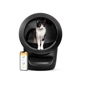 Litter-Robot Caixa de Areia Autom&aacute;tica Preta para gatos