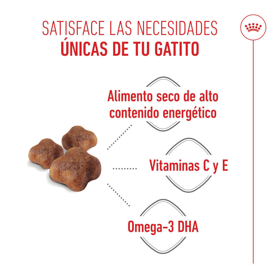 10 kg Royal Canin Mother & Baby ra&ccedil;&atilde;o para gatos, , large Imagem n&uacute;mero 4