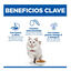 7 kg Hill's Science Plan Adult Hypoallergenic Ovo e Insetos ra&ccedil;&atilde;o para gatos , , large Indicador imagem n&uacute;mero 3