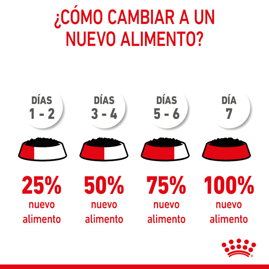 85 g Royal Canin X-Small Puppy Bocaditos em molho saqueta para cachorros, , large Imagem n&uacute;mero 2