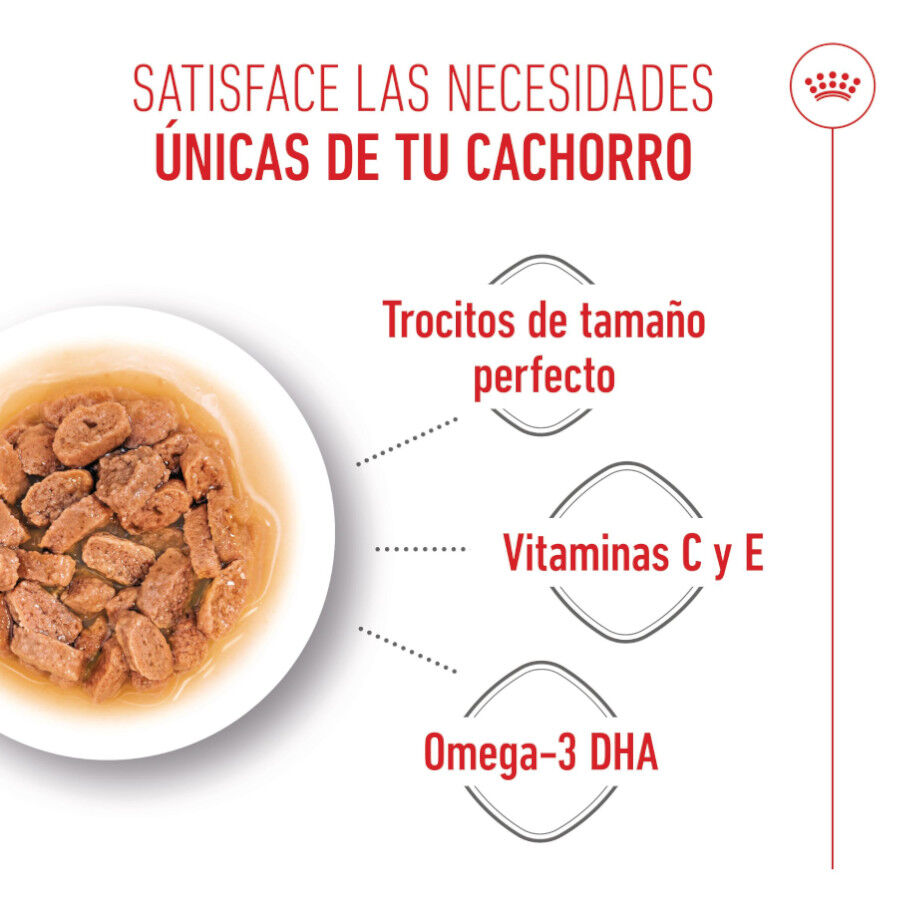 85 g Royal Canin Mini Puppy alimento h&uacute;mido em molho saquetas para c&atilde;es, , large Imagem n&uacute;mero 4