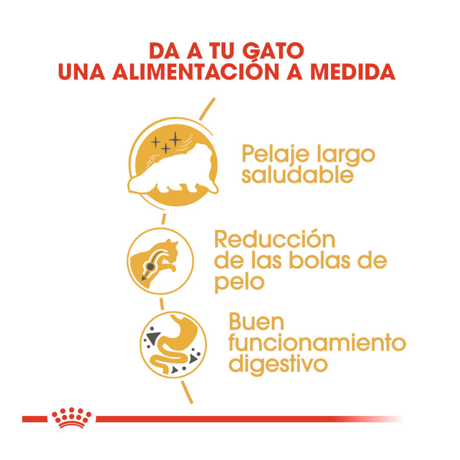 10 kg Royal Canin Persa ra&ccedil;&atilde;o para gatos adultos, , large Imagem n&uacute;mero 6