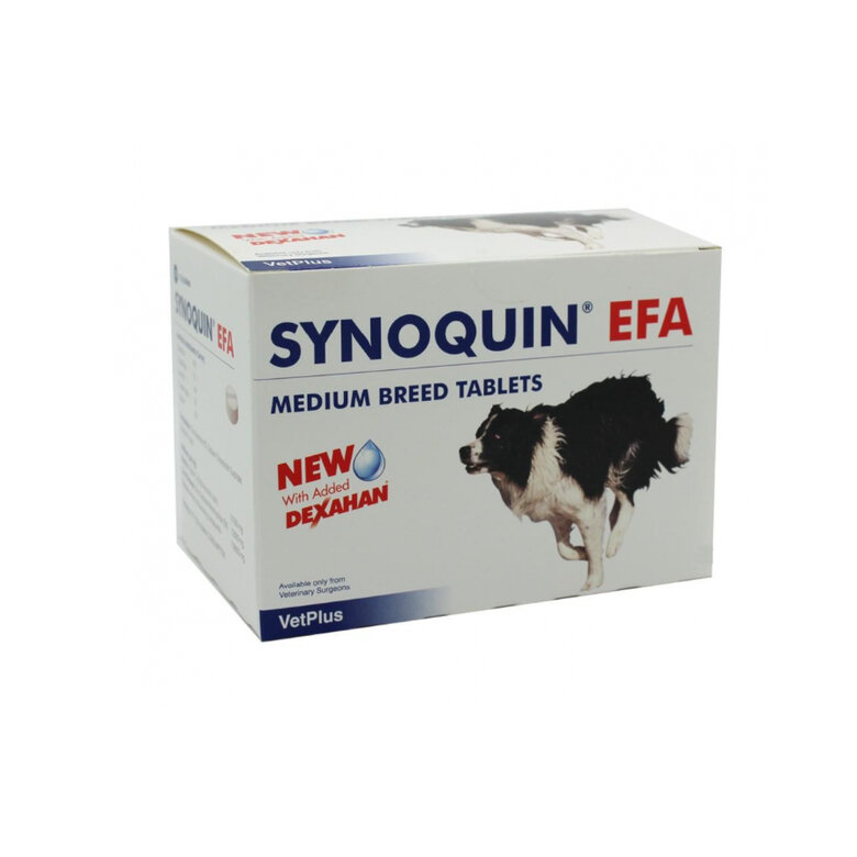 VetPlus Synoquin EFA Condroprotetor para cães de raça média,  Imagem número 1 VetPlus Synoquin EFA Condroprotetor para cães de raça média, , large Imagem número 1