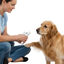 All For Paws Pet Salon Corata-unhas para cães e gatos, , large Indicador imagem número 3