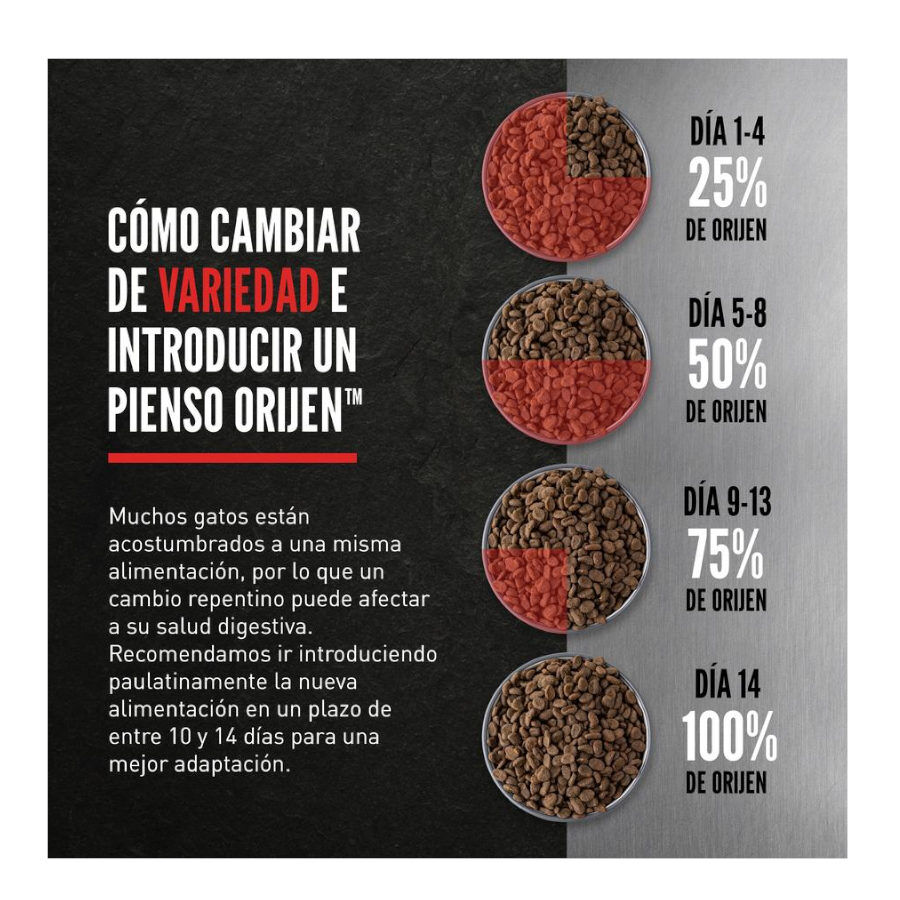 1.8 kg Orijen Kitten Frango com Per&uacute; e Salm&atilde;o ra&ccedil;&atilde;o para gatitos, , large Imagem n&uacute;mero 5