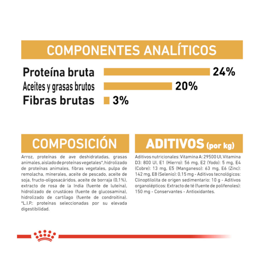 1.5 kg Royal Canin Adult Shih Tzu ra&ccedil;&atilde;o para c&atilde;es, , large Imagem n&uacute;mero 8
