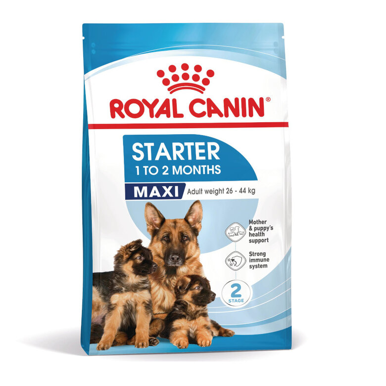 Royal Canin Starter Maxi MothereBaby ração para cães,  Imagem número 2 Royal Canin Starter Maxi MothereBaby ração para cães, , large Imagem número 2