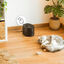 Cecotec Pumba 2500 Refresh Smart Bebedouro para gatos, , large Indicador imagem número 7