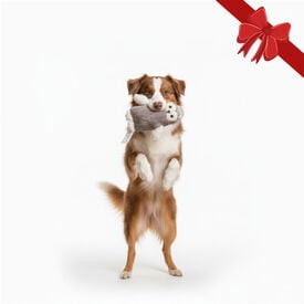 Wonder Christmas Peluche Coruja de Natal para Cães