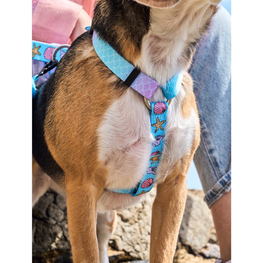 Dukier Mermaid Peitoral Cl&aacute;ssico para c&atilde;es, , large Imagem n&uacute;mero 2