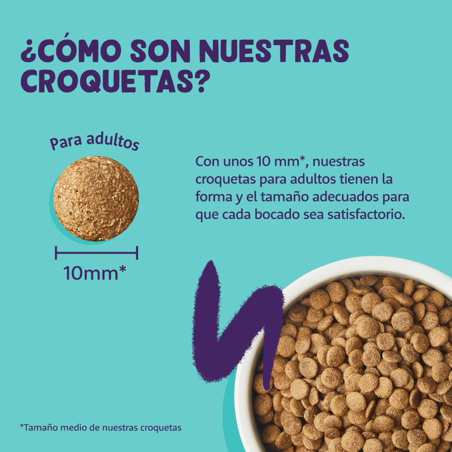 4 kg Edgard & Cooper Adult Frango ra&ccedil;&atilde;o para gatos, , large Imagem n&uacute;mero 4