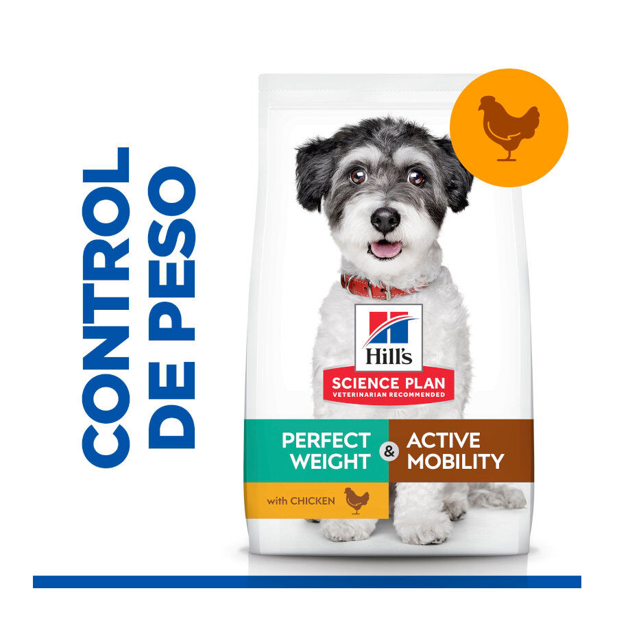 Hill's Small e Mini Perfect Weight e Active Mobility Frango ra&ccedil;&atilde;o para c&atilde;es, , large Imagem n&uacute;mero 2