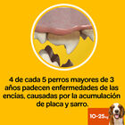 Pedigree Dentastix Fresh Snacks Dentários para Cães Médios, , large image number null