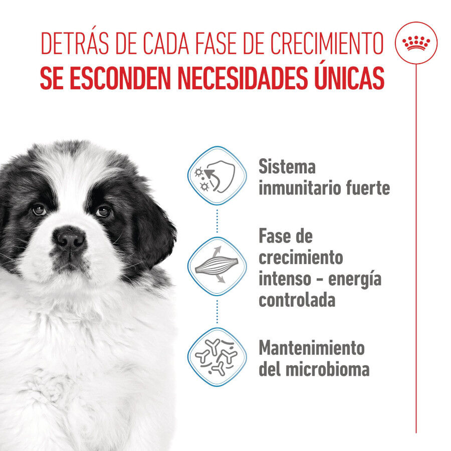 15 kg Royal Canin Puppy Giant ra&ccedil;&atilde;o para c&atilde;es, , large Imagem n&uacute;mero 3
