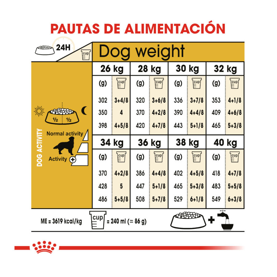 12 kg Royal Canin Adult Golden Retriever ra&ccedil;&atilde;o para c&atilde;es, , large Imagem n&uacute;mero 8