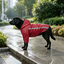 Gotoo Casaco Imperme&aacute;vel Refletor Vermelho para c&atilde;es, , large Indicador imagem n&uacute;mero 1